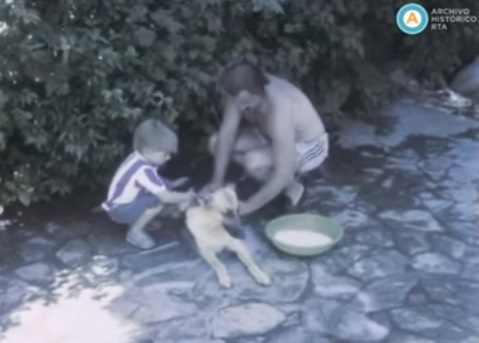 Sucesos Argentinos (incompleto)
