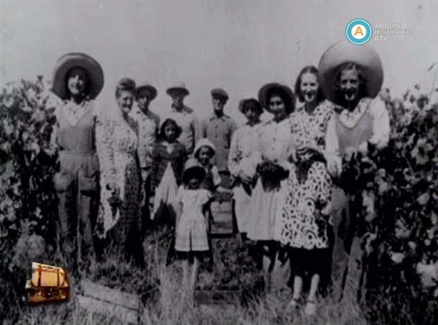 Inmigrantes, otra historia