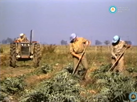 Historias de la Argentina secreta