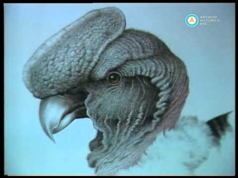 Historias de la Argentina secreta