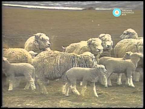 [Institucionales de Prefectura, y los ministerios de Justicia y Economía de la Nación]