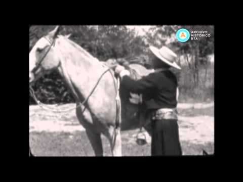 [Gauchos del círculo criollo Martín Fierro]
