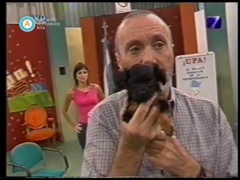 Upa el ánimo
