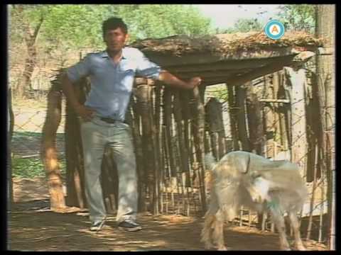 Historias de la Argentina secreta