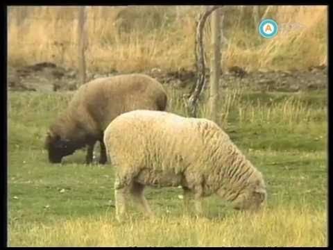 Historias de la Argentina secreta