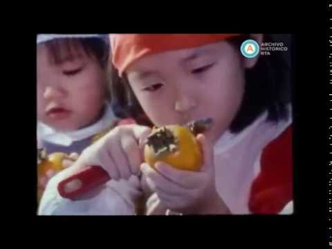 Japan Screen Topics 87-1