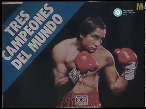Knock Out Arte
