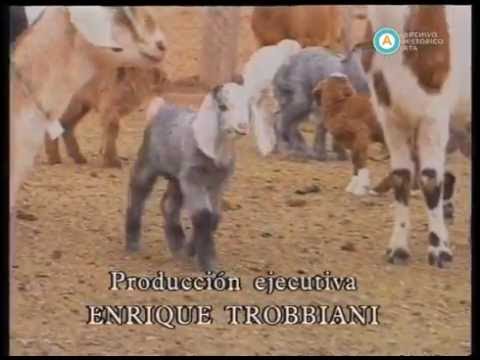 Landriscina. Mano a mano con el campo