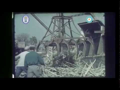 [Producción de azúcar en el ingenio San Pablo]