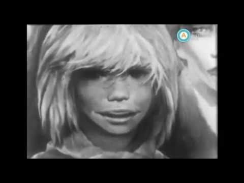 Noticiario Panamericano Nº 1478