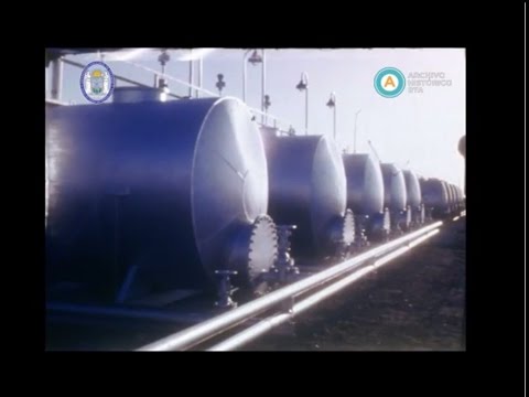 [El Estado argentino y la población malvinense antes de la guerra]