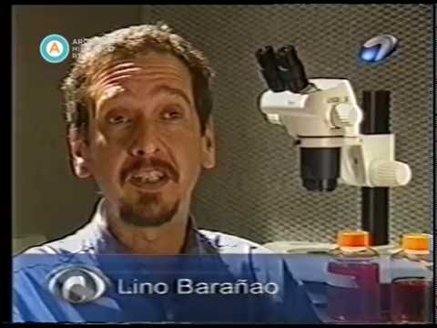 100 Científicos