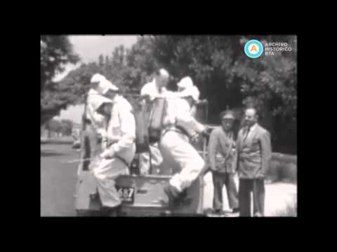 [Plaga de mosquitos en el verano de 1960]