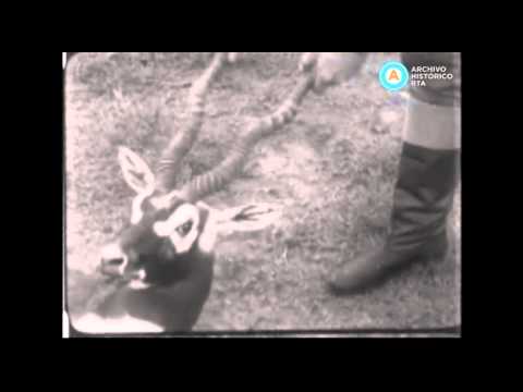 [Caza del antílope en Santa Fe]