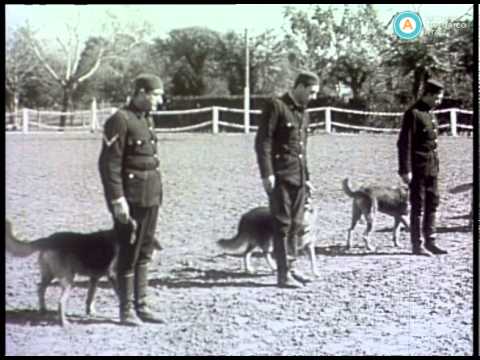 Sucesos Argentinos N° 245