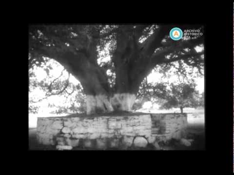 Noticiero de América Nº 154