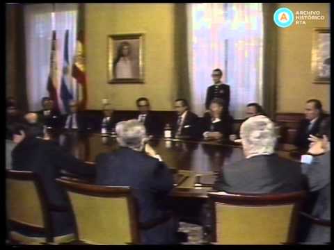 [Alfonsín en España: Reunión en el Palacio del Congreso]