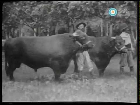 [La Pampa]