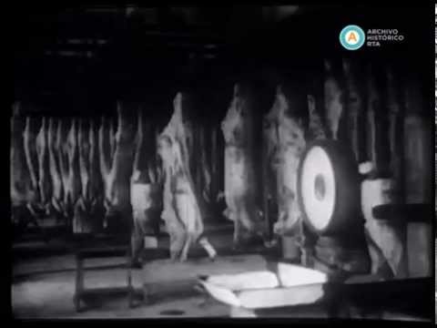 [La industria ganadera argentina]