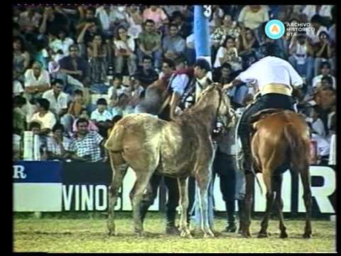 31° Festival Nacional de Doma y Folklore de Jesús María (incompleto)