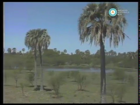 Argentina Secreta de Colección