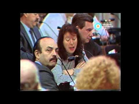 [Reforma constitucional: normas para la protección del medio ambiente]