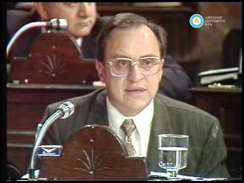 [Debate por el proyecto de reforma constitucional: Snopek]