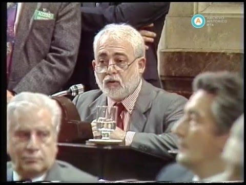 [Debate por el proyecto de reforma constitucional: Vaca]